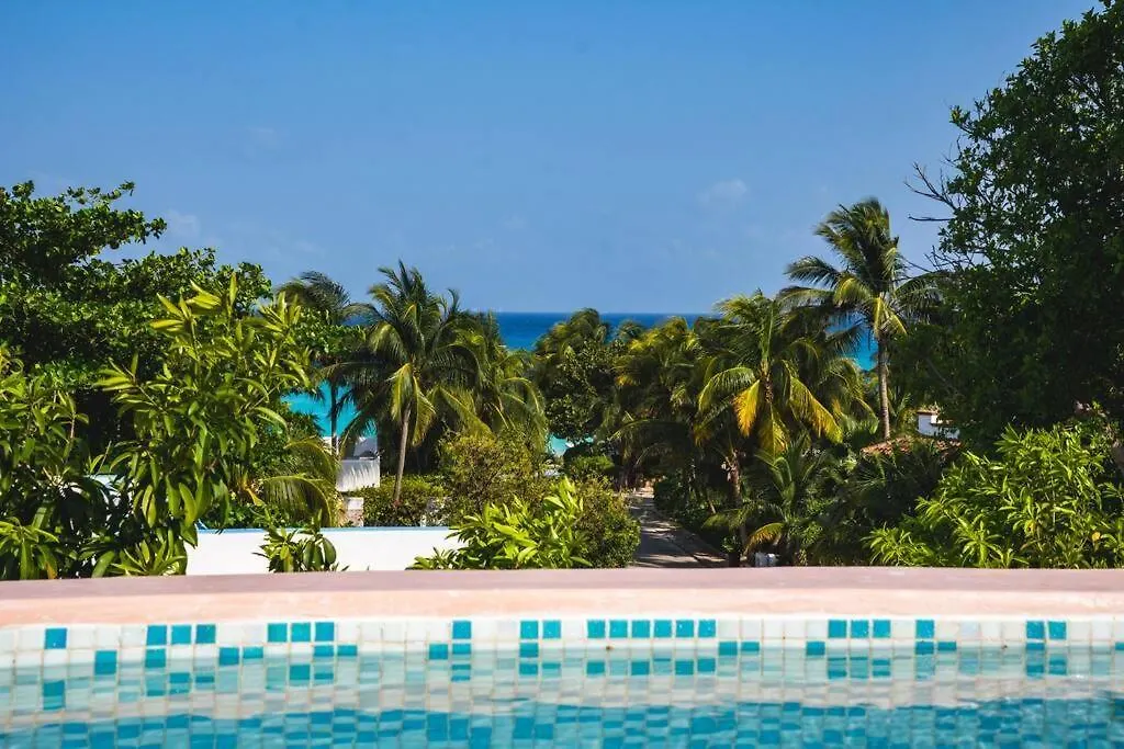Apartmán Lujoso Apartamento Playacar F1 A Metros Del Mar Playa del Carmen Mexiko